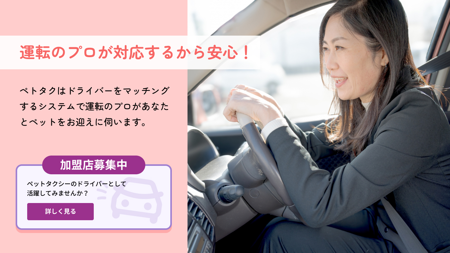 運転のプロが対応するから安心